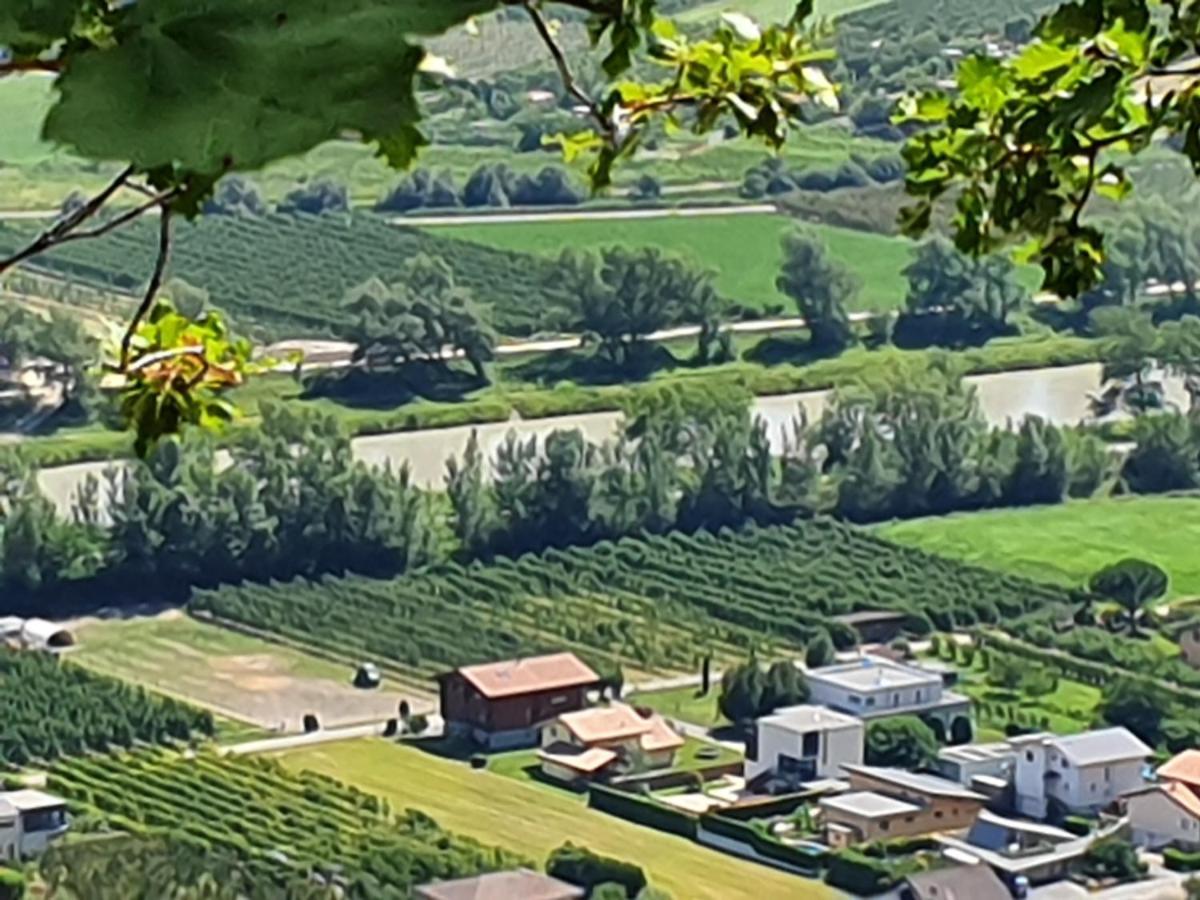 La Terrasse *